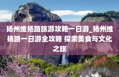 扬州维扬路旅游攻略一日游_扬州维扬路一日游全攻略 探索美食与文化之旅