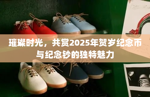 璀璨时光，共赏2025年贺岁纪念币与纪念钞的独特魅力