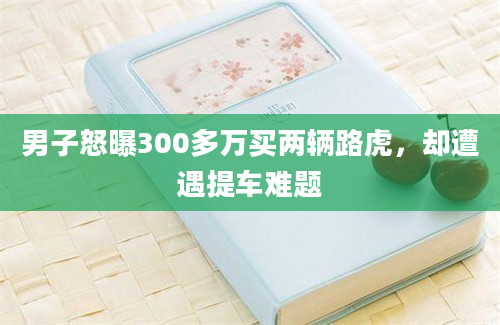 男子怒曝300多万买两辆路虎，却遭遇提车难题