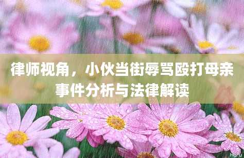 律师视角，小伙当街辱骂殴打母亲事件分析与法律解读