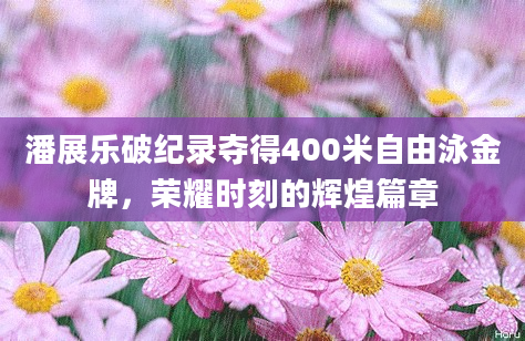 潘展乐破纪录夺得400米自由泳金牌，荣耀时刻的辉煌篇章