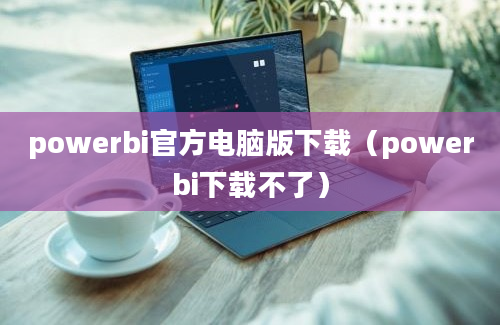 powerbi官方电脑版下载（powerbi下载不了）