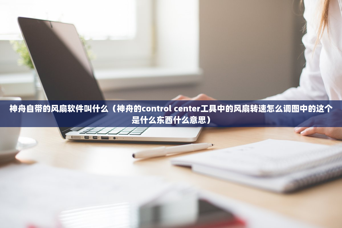 神舟自带的风扇软件叫什么（神舟的control center工具中的风扇转速怎么调图中的这个是什么东西什么意思）