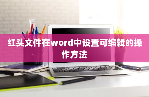 红头文件在word中设置可编辑的操作方法