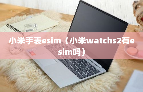 小米手表esim（小米watchs2有esim吗）