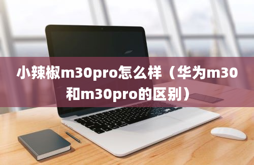 小辣椒m30pro怎么样（华为m30和m30pro的区别）