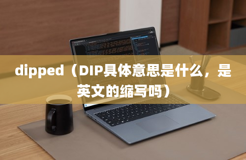 dipped（DIP具体意思是什么，是英文的缩写吗）