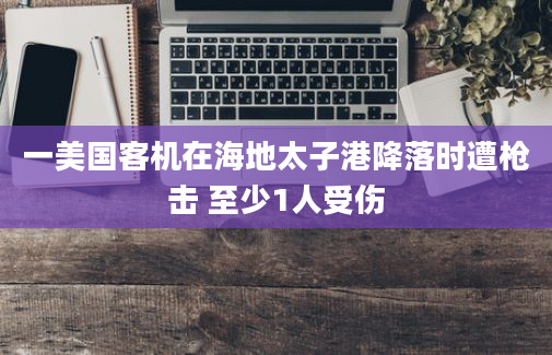 一美国客机在海地太子港降落时遭枪击 至少1人受伤