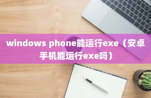 windows phone能运行exe（安卓手机能运行exe吗）