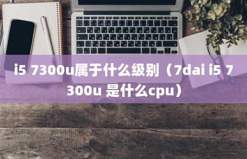 i5 7300u属于什么级别（7dai i5 7300u 是什么cpu）