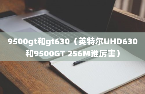 9500gt和gt630（英特尔UHD630和9500GT 256M谁厉害）