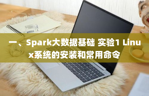 一、Spark大数据基础 实验1 Linux系统的安装和常用命令