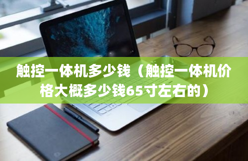 触控一体机多少钱（触控一体机价格大概多少钱65寸左右的）