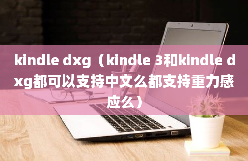 kindle dxg（kindle 3和kindle dxg都可以支持中文么都支持重力感应么）