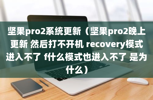 坚果pro2系统更新（坚果pro2晚上更新 然后打不开机 recovery模式进入不了 f什么模式也进入不了 是为什么）