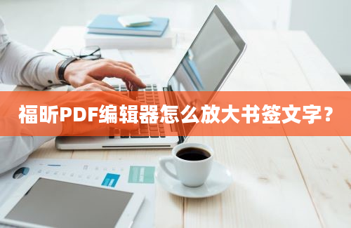 福昕PDF编辑器怎么放大书签文字？