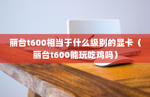 丽台t600相当于什么级别的显卡（丽台t600能玩吃鸡吗）