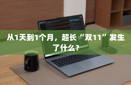 从1天到1个月，超长“双11”发生了什么？