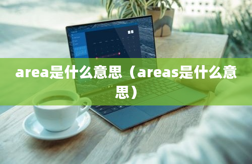 area是什么意思（areas是什么意思）