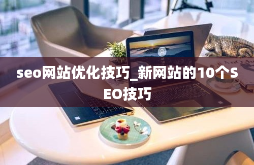 seo网站优化技巧_新网站的10个SEO技巧