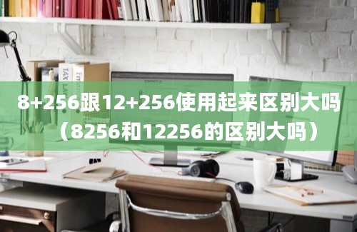 8+256跟12+256使用起来区别大吗（8256和12256的区别大吗）