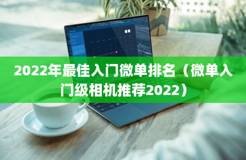 2022年最佳入门微单排名（微单入门级相机推荐2022）