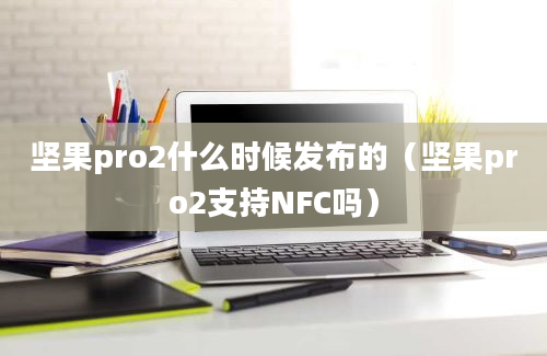 坚果pro2什么时候发布的（坚果pro2支持NFC吗）