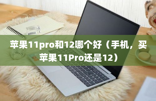 苹果11pro和12哪个好（手机，买苹果11Pro还是12）