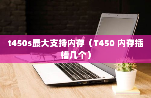 t450s最大支持内存（T450 内存插槽几个）