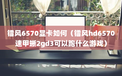 镭风6570显卡如何（镭风hd6570速甲蜥2gd3可以跑什么游戏）