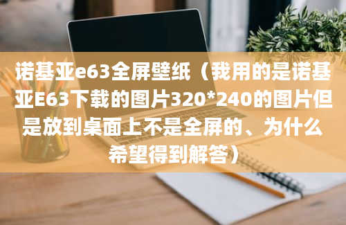 诺基亚e63全屏壁纸（我用的是诺基亚E63下载的图片320*240的图片但是放到桌面上不是全屏的、为什么希望得到解答）