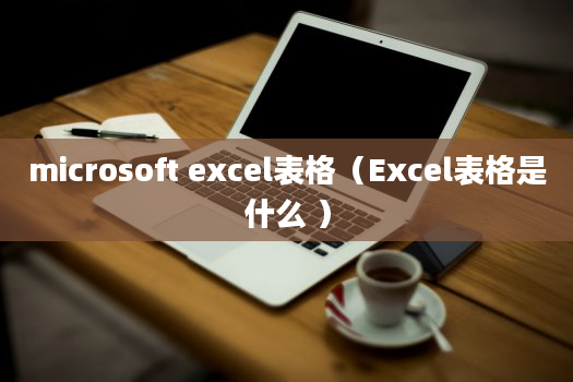 microsoft excel表格（Excel表格是什么 ）