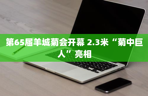 第65届羊城菊会开幕 2.3米“菊中巨人”亮相