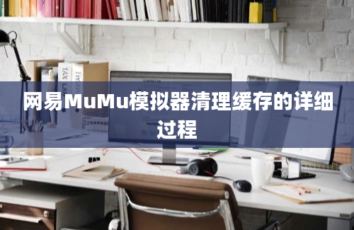 网易MuMu模拟器清理缓存的详细过程