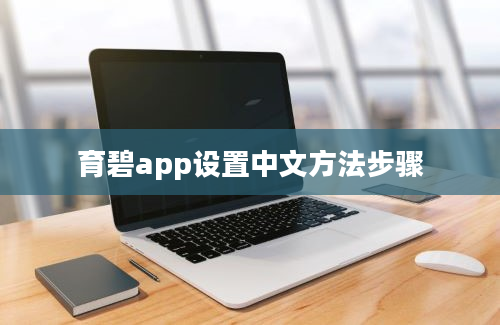 育碧app设置中文方法步骤