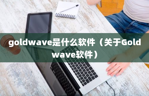 goldwave是什么软件（关于Goldwave软件）