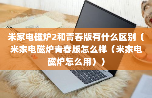 米家电磁炉2和青春版有什么区别（米家电磁炉青春版怎么样（米家电磁炉怎么用））