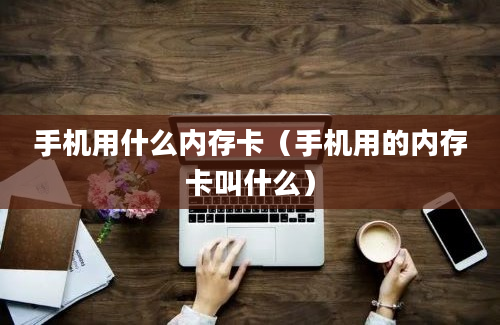 手机用什么内存卡（手机用的内存卡叫什么）