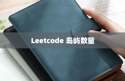 Leetcode 岛屿数量