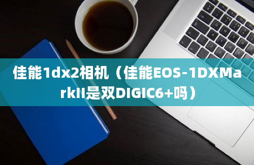 佳能1dx2相机（佳能EOS-1DXMarkII是双DIGIC6+吗）