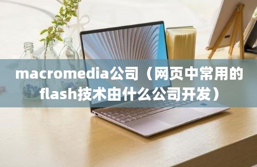 macromedia公司（网页中常用的flash技术由什么公司开发）