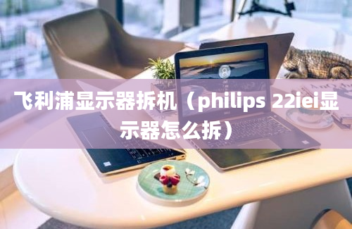 飞利浦显示器拆机（philips 22iei显示器怎么拆）