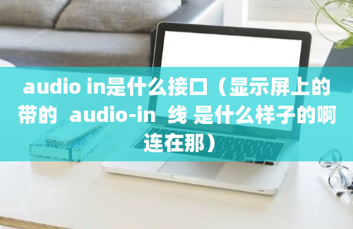 audio in是什么接口（显示屏上的带的  audio-in  线 是什么样子的啊 连在那）