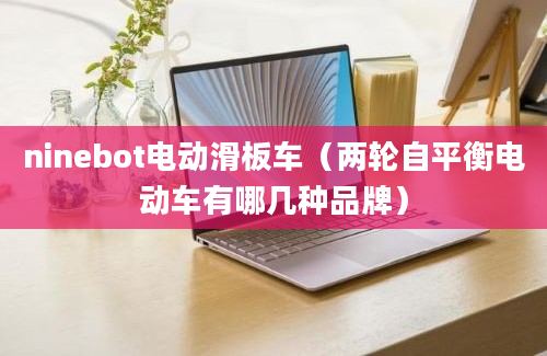 ninebot电动滑板车（两轮自平衡电动车有哪几种品牌）