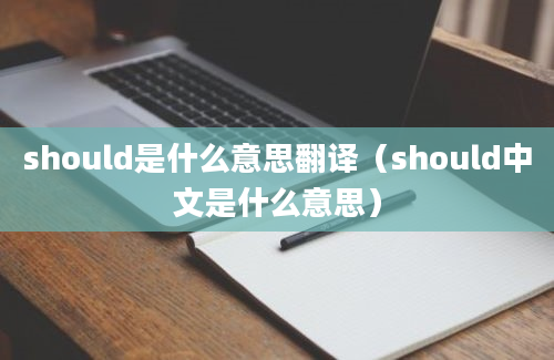 should是什么意思翻译（should中文是什么意思）