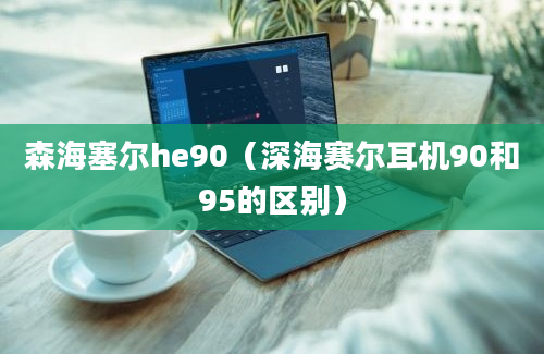 森海塞尔he90（深海赛尔耳机90和95的区别）