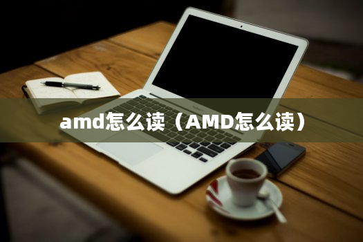 amd怎么读（AMD怎么读）