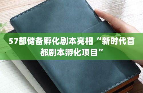 57部储备孵化剧本亮相“新时代首都剧本孵化项目”