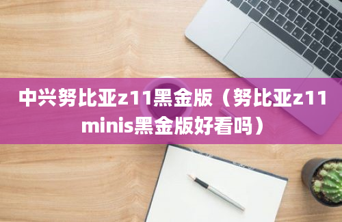 中兴努比亚z11黑金版（努比亚z11minis黑金版好看吗）