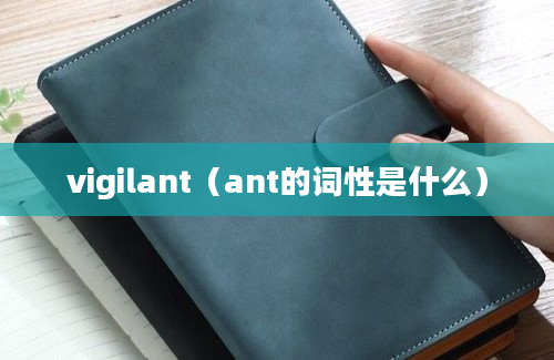 vigilant（ant的词性是什么）